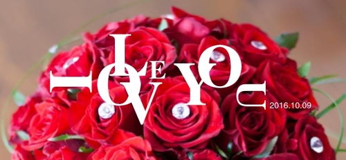 中英字体与图形图案的融合 现代广告Banner的图文设计艺术